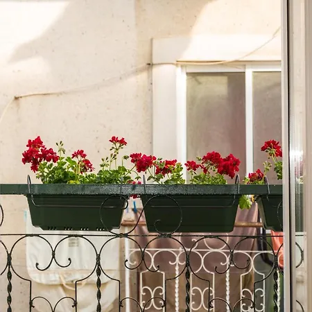 Arrabida House Setúbal